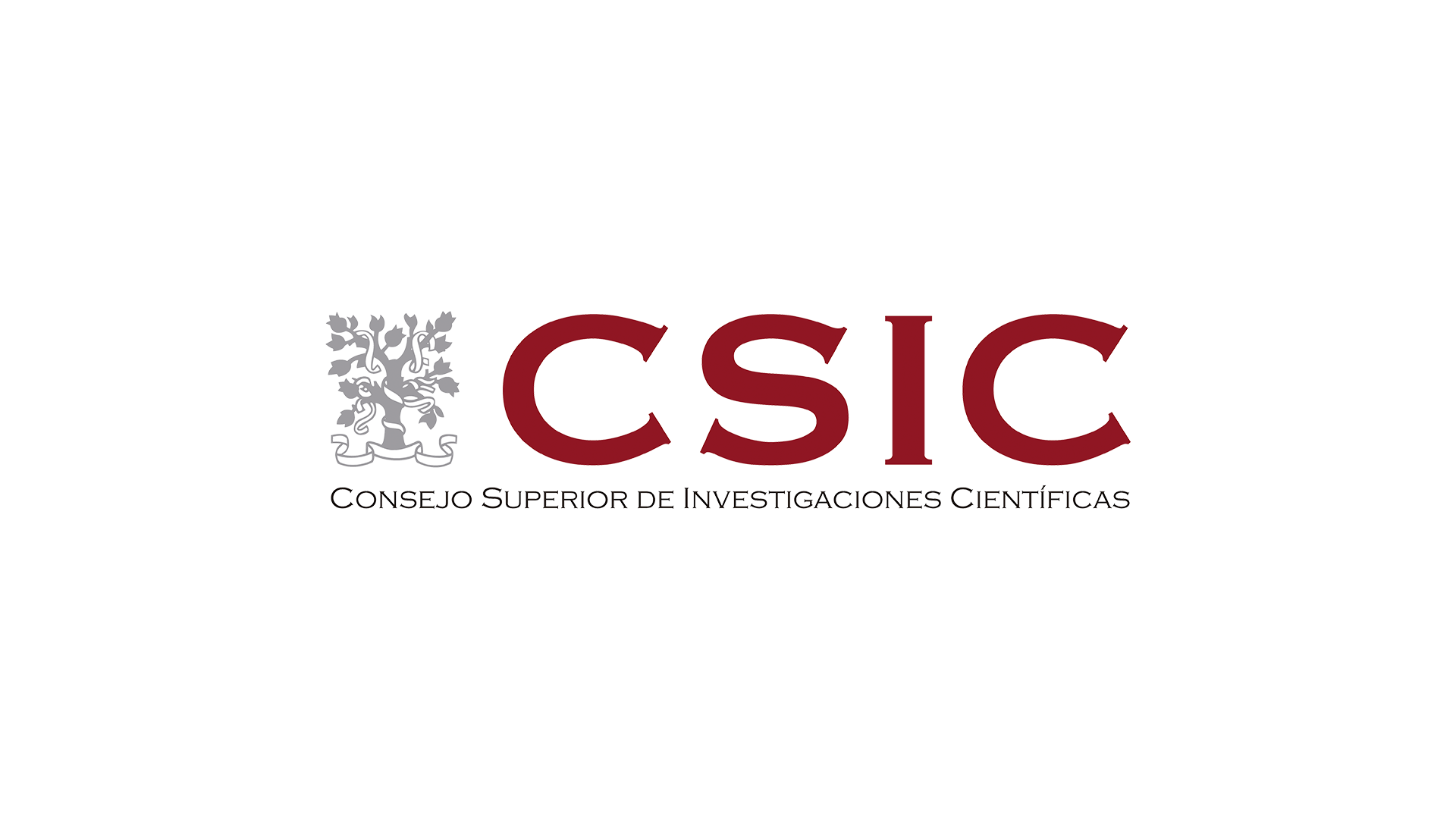 csic 16 9